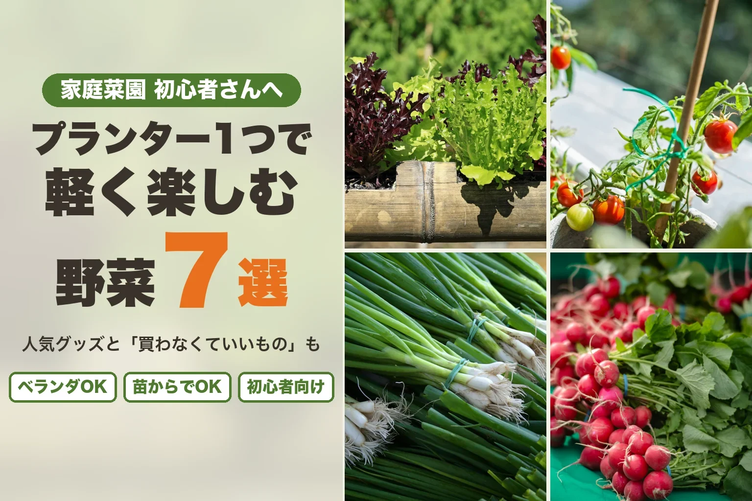 家庭菜園 初心者さんへ プランター1つで軽く楽しむ野菜7選