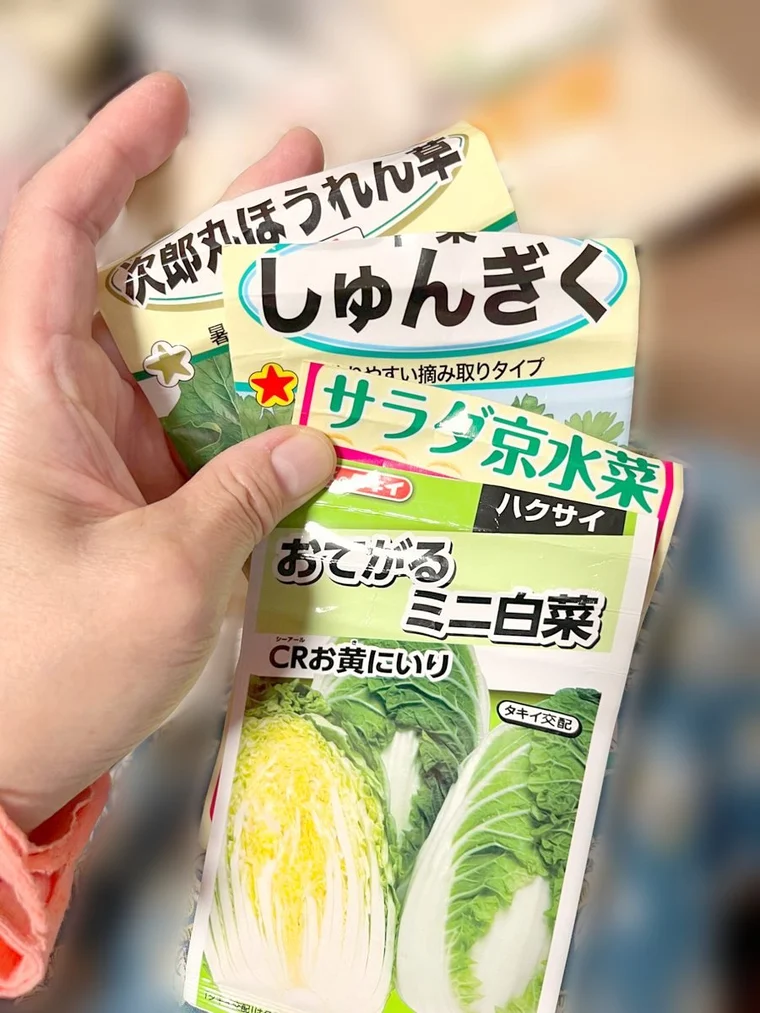ほうれん草・しゅんぎく・水菜・ミニ白菜の種