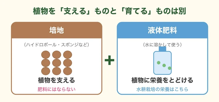 培地は植物を支え、液体肥料が栄養をとどけることを表したイラスト