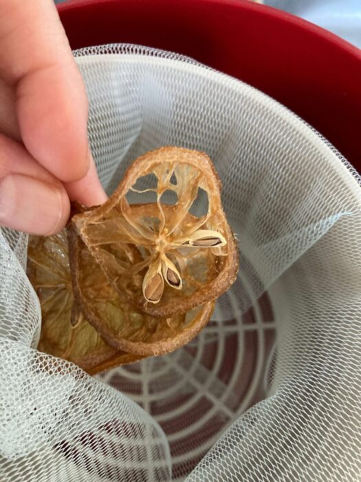 レモン生ごみ処理機1