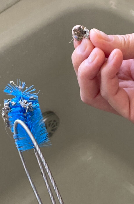 浴槽の排水口の掃除コバエ