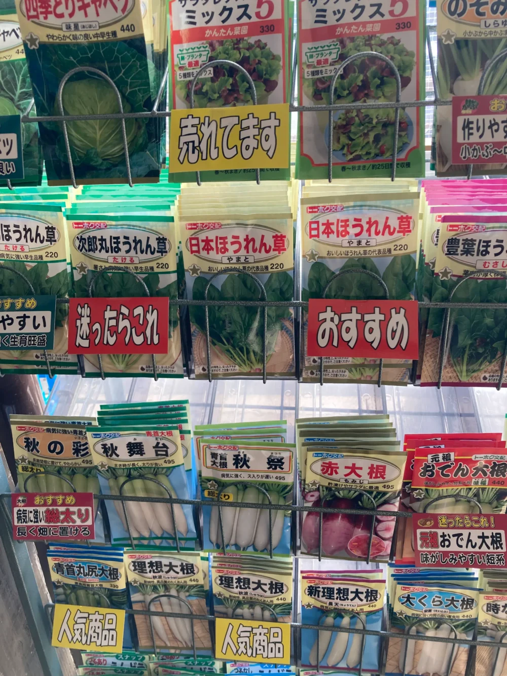 野菜の種