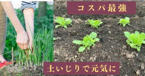 家庭菜園