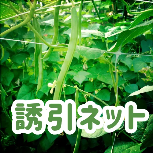 誘引ネット