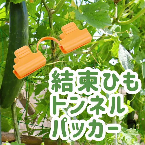 結束ひも