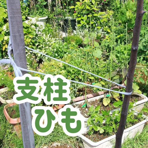 支柱ひも