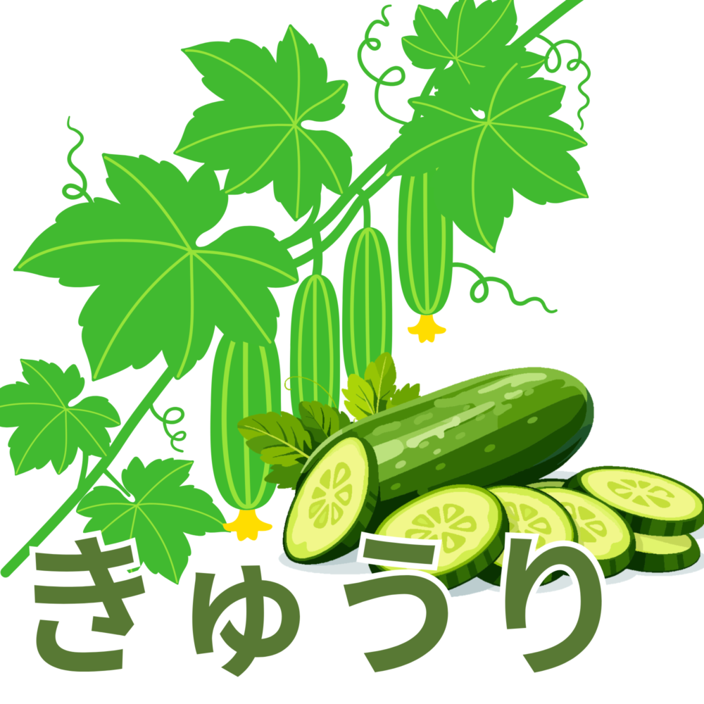 キュウリ