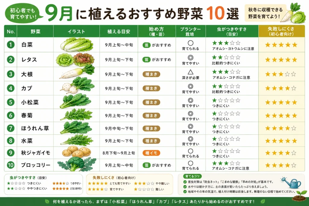 9月に植える野菜