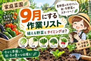 9月作業リスト家庭菜園