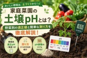 家庭菜園ph