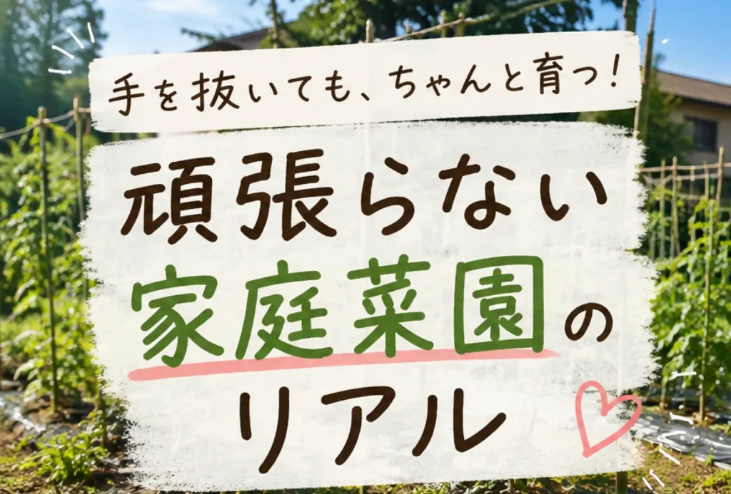 【がんばらない家庭菜園】草取り・水やり・虫対策ほどほどに「ちょうど良いは?」