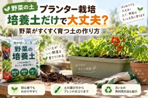 プランター栽培