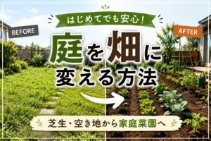 【始める家庭菜園】庭を畑に変える方法|芝生・空き地からの手順とコツ